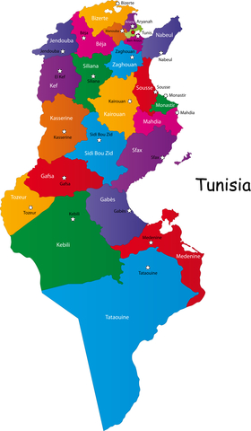 Tunisia Visa For Lebanese￼